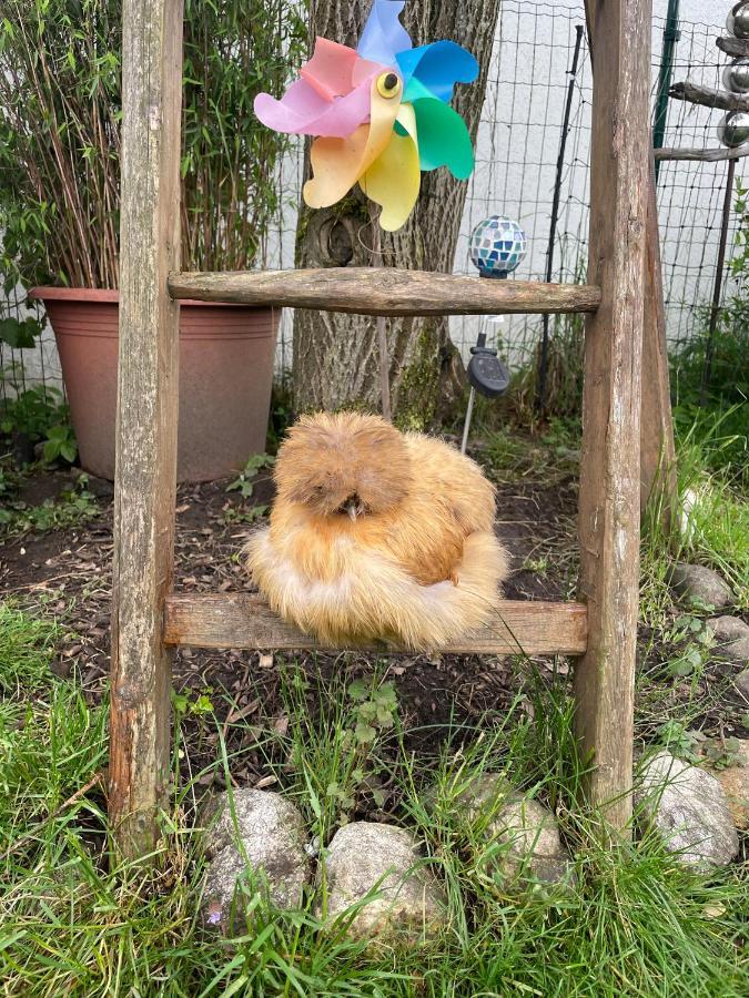 Ferienwohnung Seidenhuhn 키퍼스펠든 외부 사진